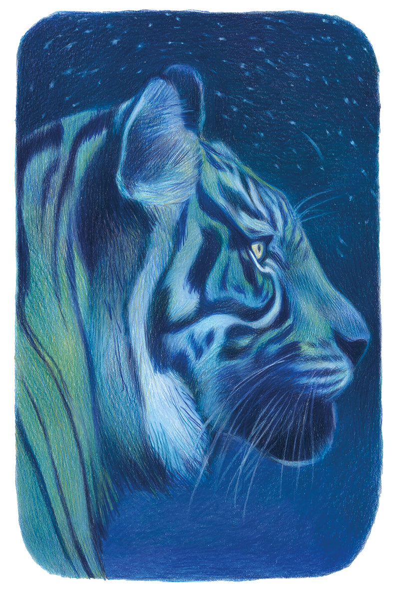 Life of Pi - Deluxe Edition