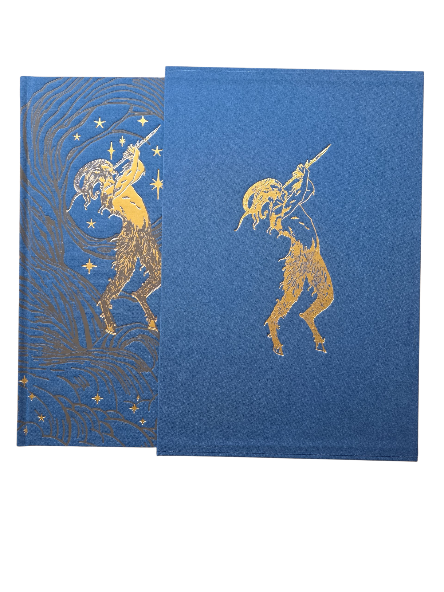 Pan's Labyrinth - Author’s Collector Edition