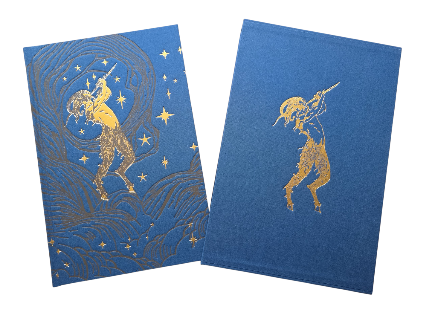 Pan's Labyrinth - Author’s Collector Edition